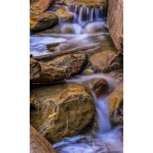 USA, Utah, Zion NP Rocks in stream